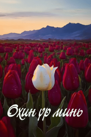 Охин үр минь